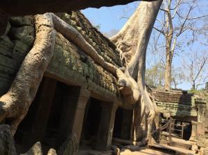 044f6abf-17f2-476d-a41a-fb04fb9c15e3