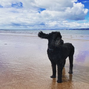 B36305D2-D16C-482E-A5D2-1CA6745092DE